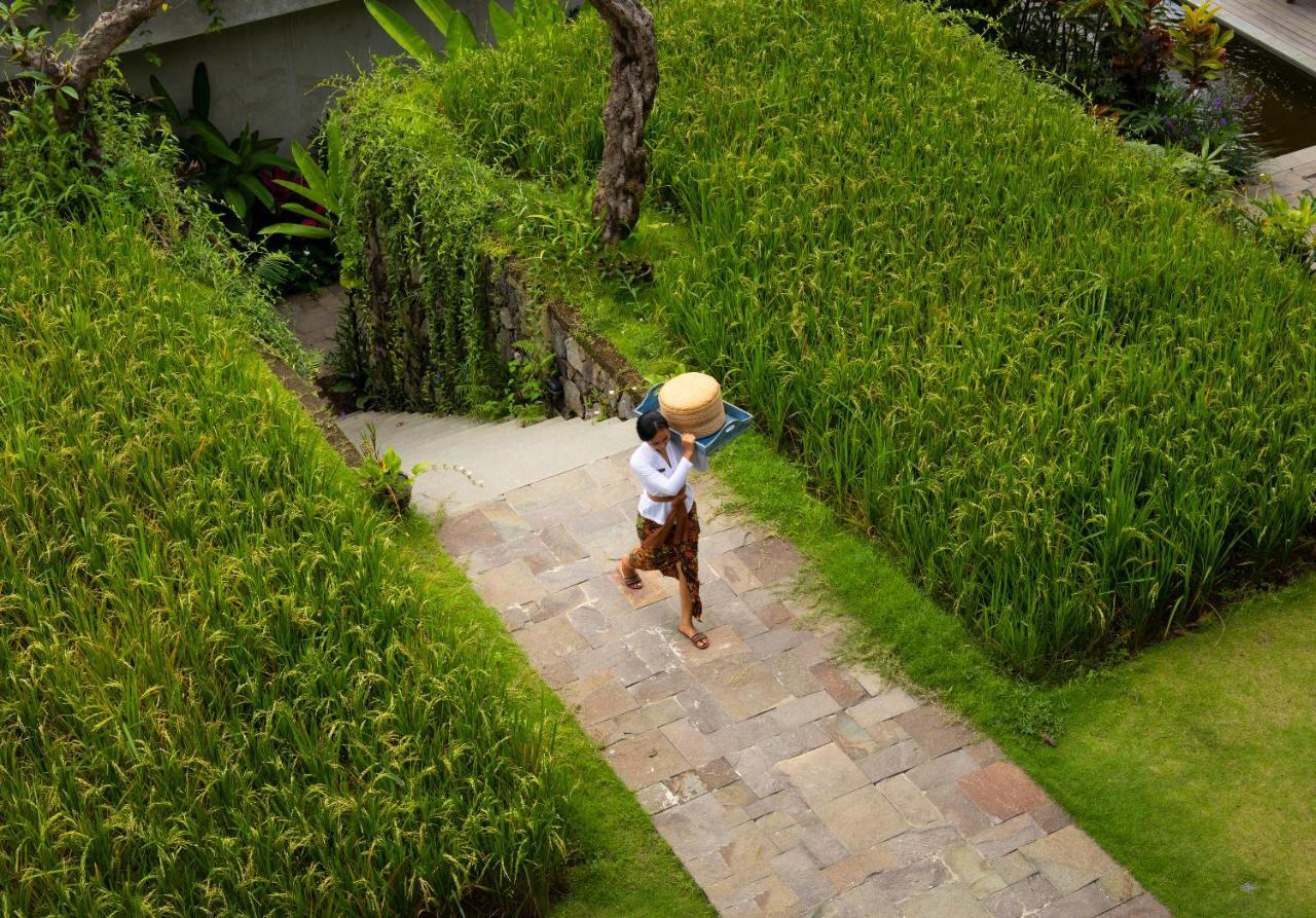 Adiwana Suweta Hotel Ubud Eksteriør billede A farmer in Bali