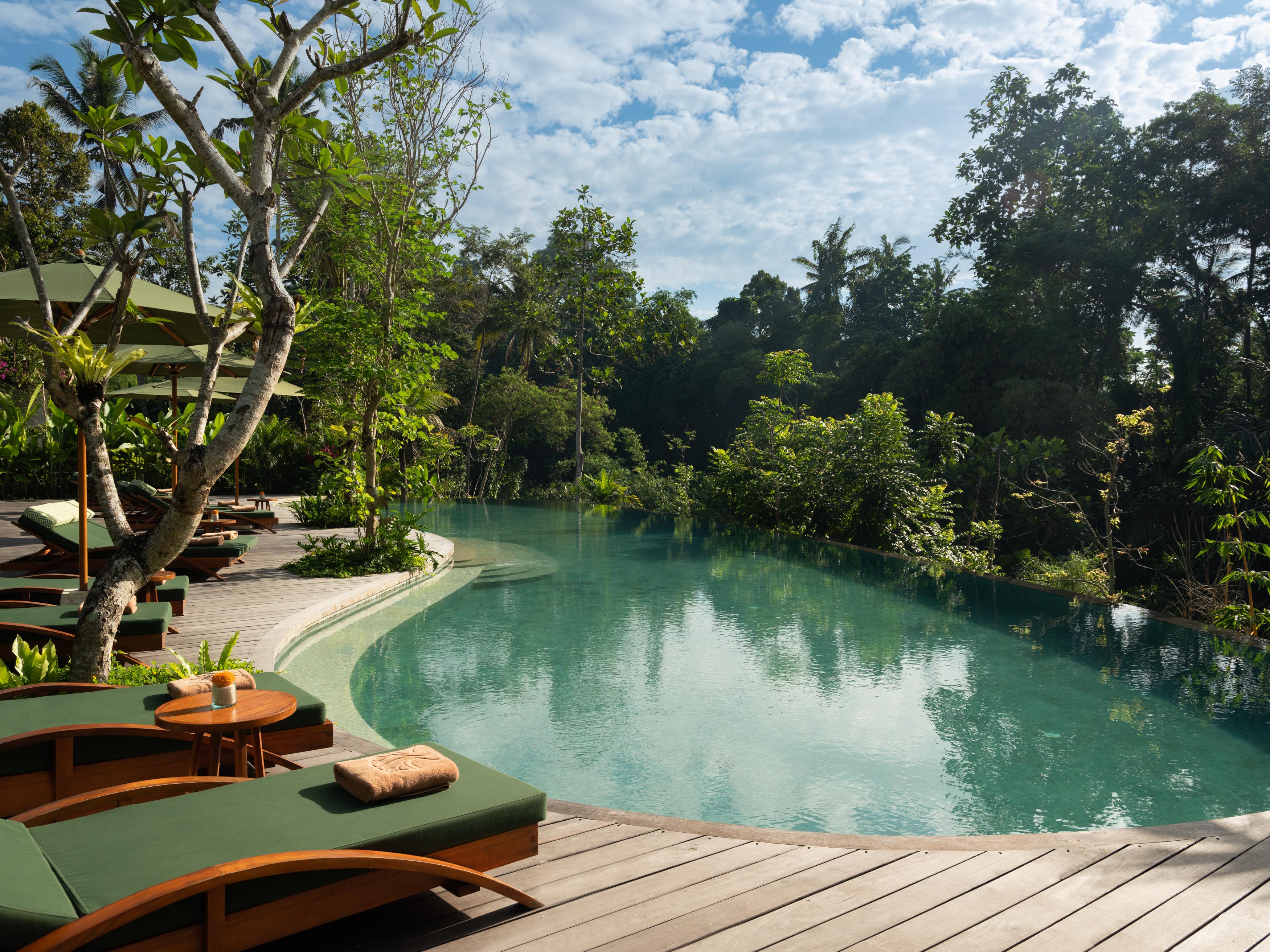 Adiwana Suweta Hotel Ubud Eksteriør billede The pool at the Four Seasons Resort